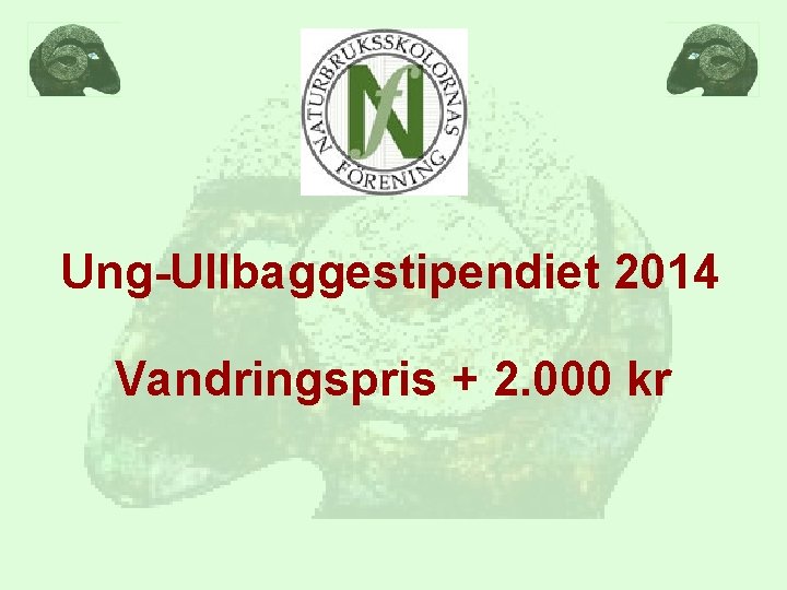 Ung-Ullbaggestipendiet 2014 Vandringspris + 2. 000 kr 