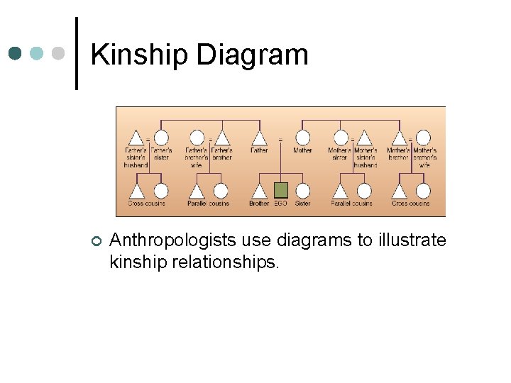 Kinship Diagram ¢ Anthropologists use diagrams to illustrate kinship relationships. 