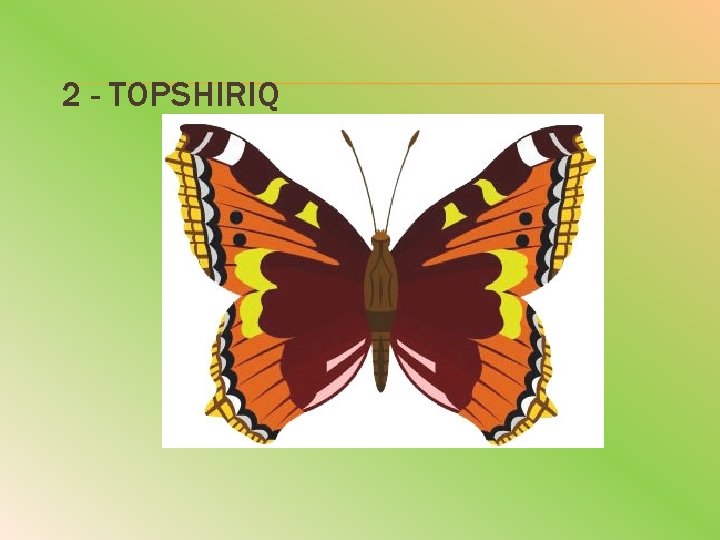 2 - TOPSHIRIQ 