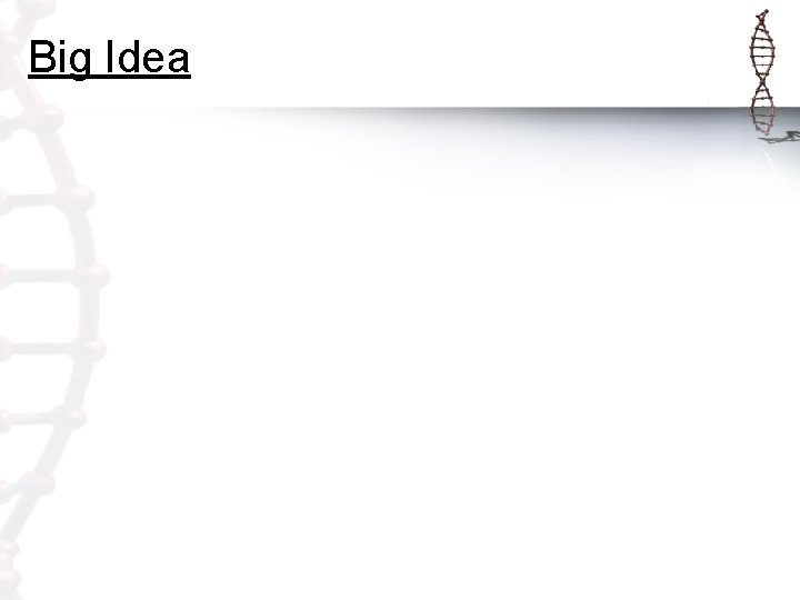 Big Idea 
