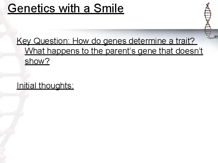 Genetics with a Smile Key Question: How do genes determine a trait? What happens