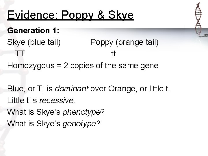 Evidence: Poppy & Skye Generation 1: Skye (blue tail) Poppy (orange tail) TT tt