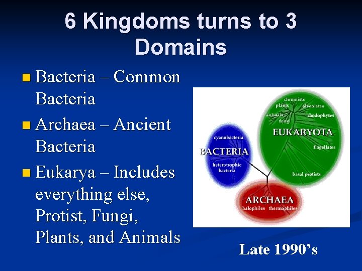 6 Kingdoms turns to 3 Domains n Bacteria – Common Bacteria n Archaea –