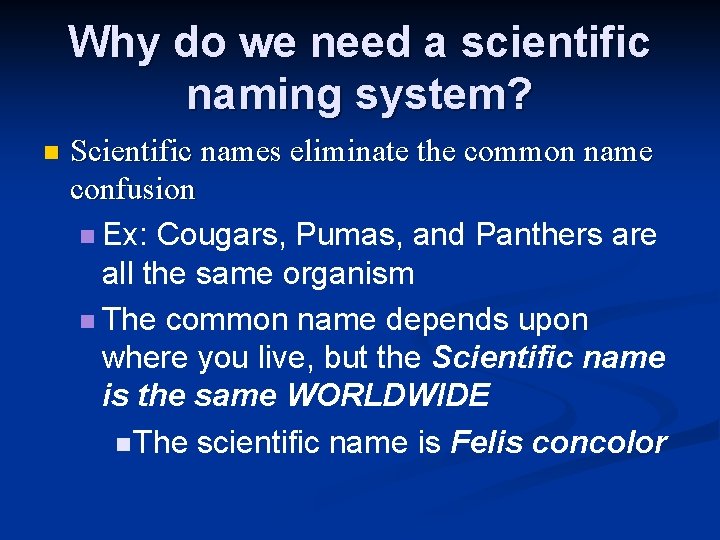 Why do we need a scientific naming system? n Scientific names eliminate the common