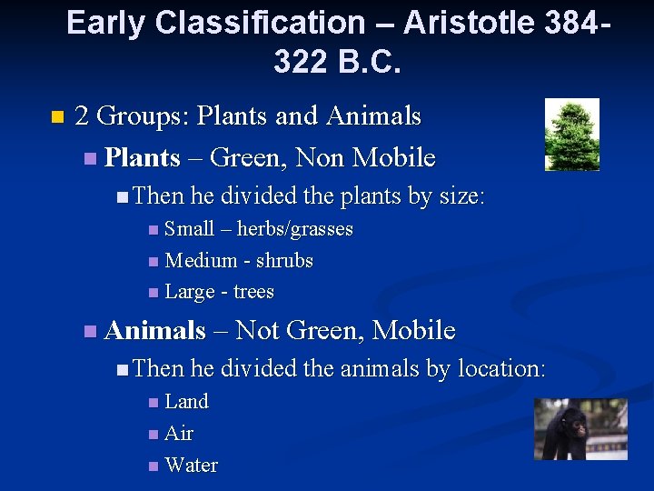 Early Classification – Aristotle 384322 B. C. n 2 Groups: Plants and Animals n