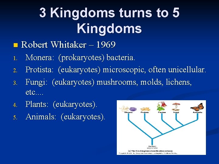 3 Kingdoms turns to 5 Kingdoms n 1. 2. 3. 4. 5. Robert Whitaker