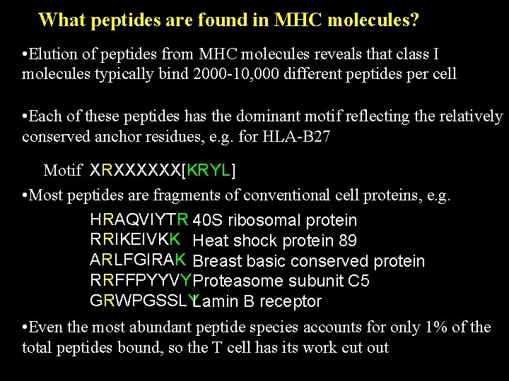 What peptides are found in MHC molecules? • Elution of peptides from MHC molecules