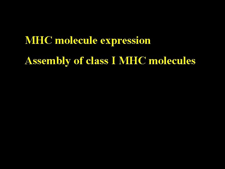 MHC molecule expression Assembly of class I MHC molecules 