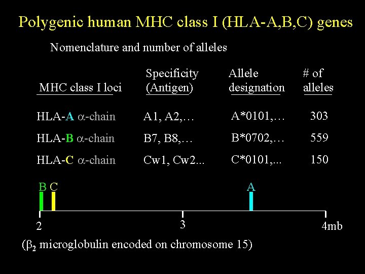 Polygenic human MHC class I (HLA-A, B, C) genes Nomenclature and number of alleles