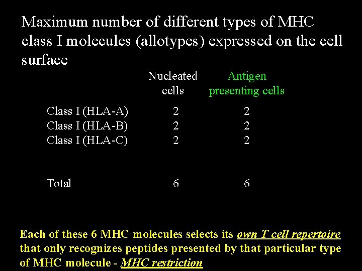 Maximum number of different types of MHC class I molecules (allotypes) expressed on the