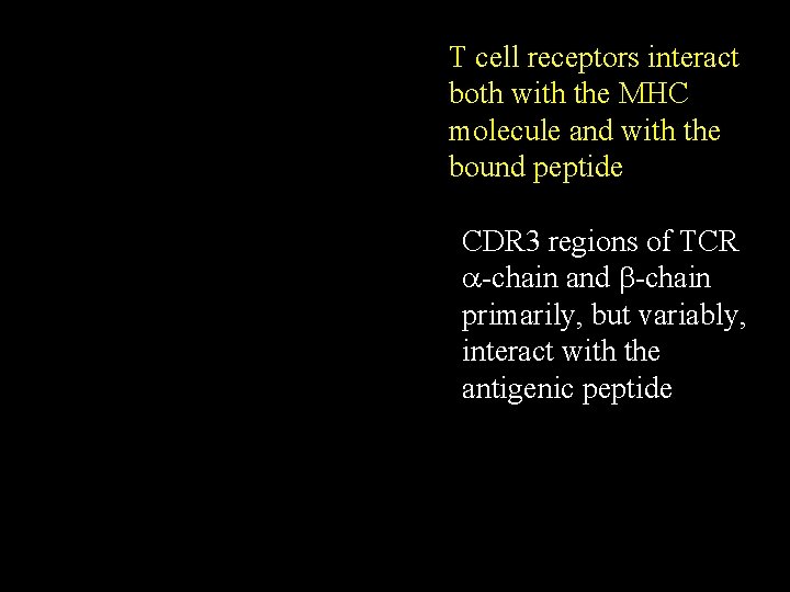 T cell receptors interact both with the MHC molecule and with the bound peptide