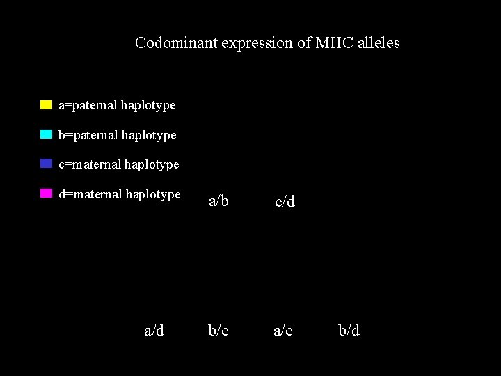 Codominant expression of MHC alleles a=paternal haplotype b=paternal haplotype c=maternal haplotype d=maternal haplotype a/d