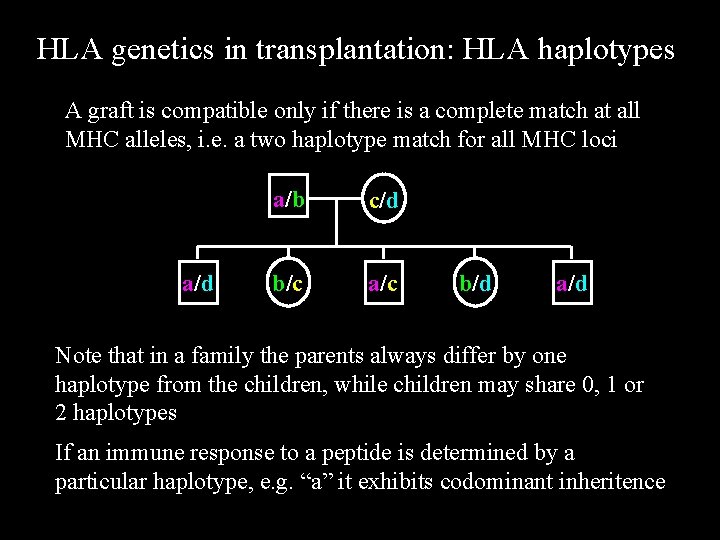 HLA genetics in transplantation: HLA haplotypes A graft is compatible only if there is