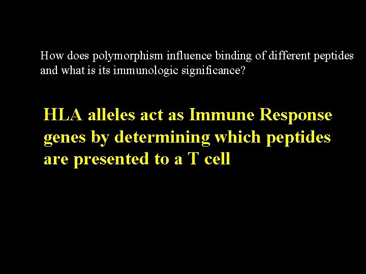 How does polymorphism influence binding of different peptides and what is its immunologic significance?