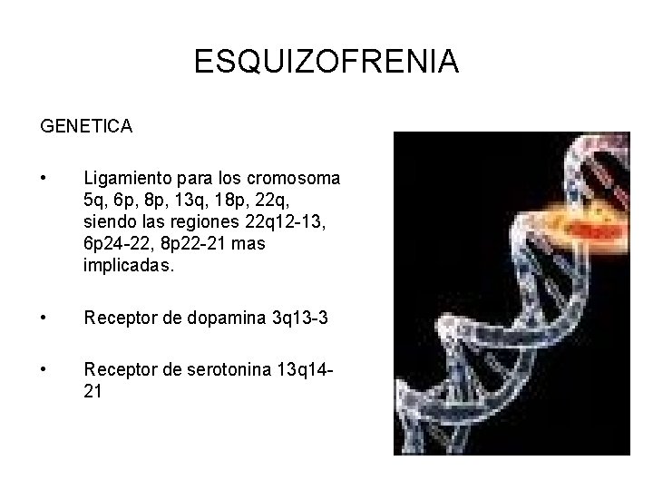 ESQUIZOFRENIA GENETICA • Ligamiento para los cromosoma 5 q, 6 p, 8 p, 13