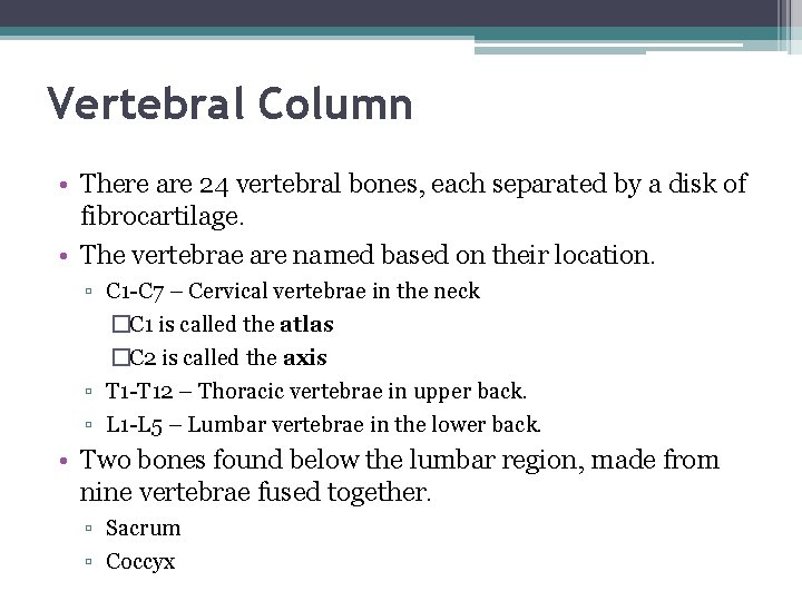 Vertebral Column • There are 24 vertebral bones, each separated by a disk of