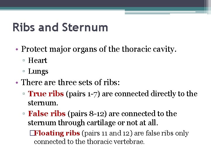 Ribs and Sternum • Protect major organs of the thoracic cavity. ▫ Heart ▫