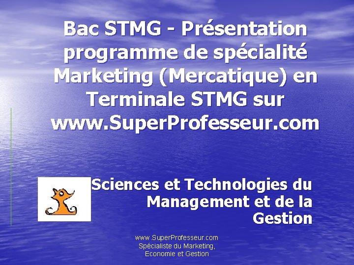 Bac STMG - Présentation programme de spécialité Marketing (Mercatique) en Terminale STMG sur www.