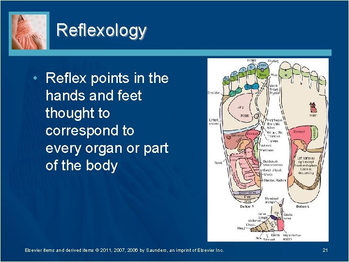 Reflexology • Reflex points in the hands and feet thought to correspond to every