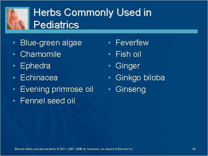 Herbs Commonly Used in Pediatrics • • • Blue-green algae Chamomile Ephedra Echinacea Evening