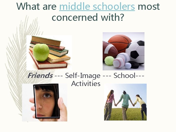 What are middle schoolers most concerned with? Friends --- Self-Image --- School--Activities 