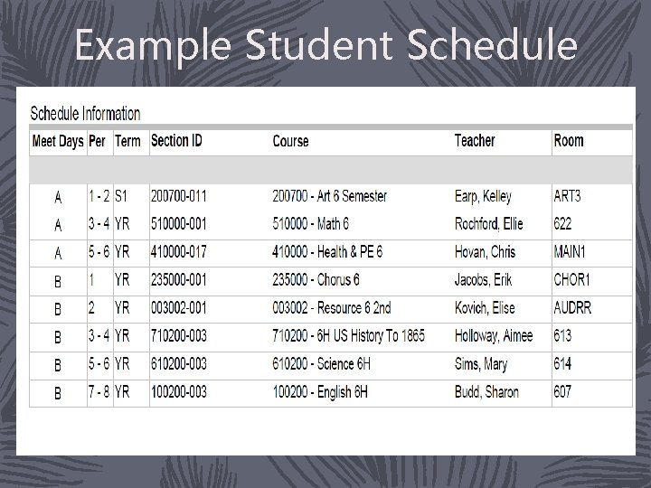 Example Student Schedule 