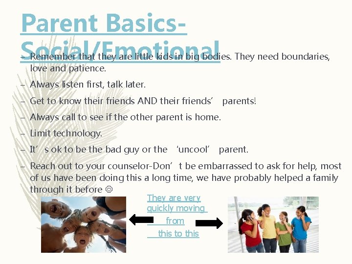 Parent Basics. Social/Emotional – Remember that they are little kids in big bodies. They