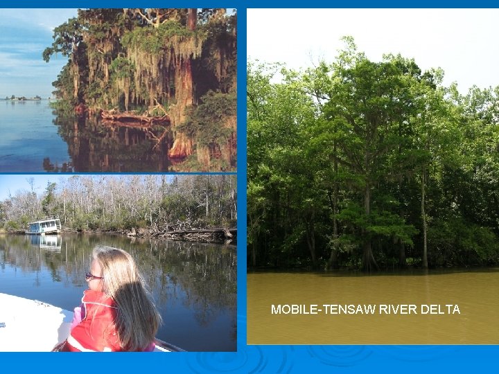 Mobile. Tensaw River Delta MOBILE-TENSAW RIVER DELTA 