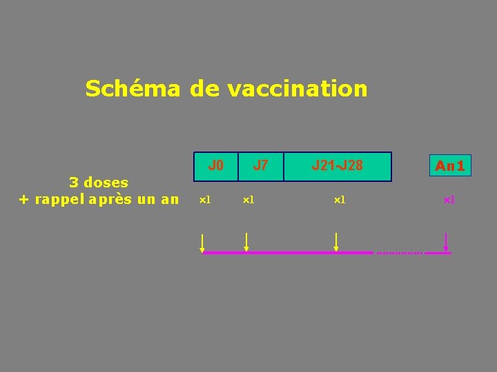 Schéma de vaccination J 0 3 doses + rappel après un an 1 J