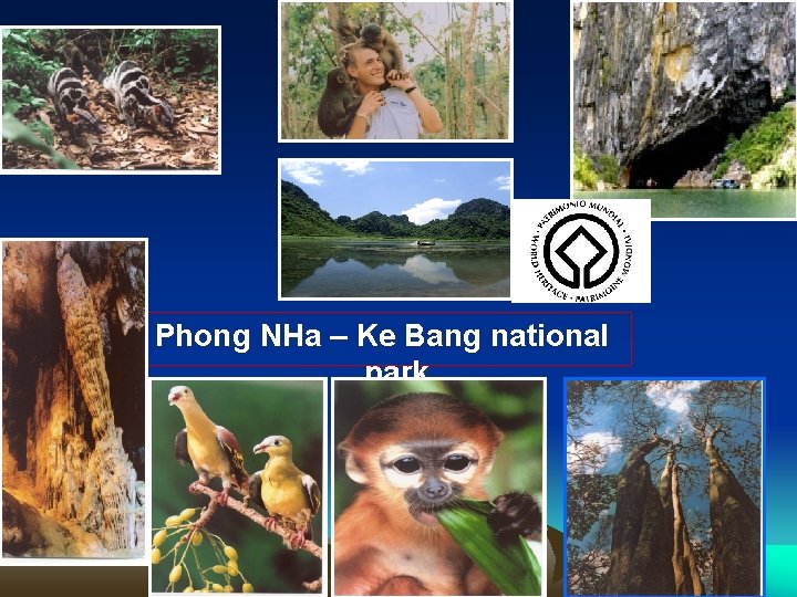 Phong NHa – Ke Bang national park Vu Lu hanh-TCDL Phong NHa – Ke Bang national park Vu Lu hanh-TCDL