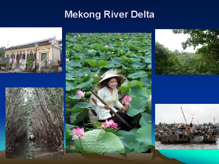 Mekong River Delta Mekong River Delta