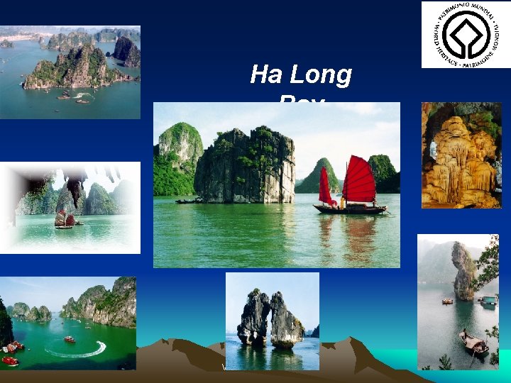 Ha Long Bay Vu Lu hanh-TCDL Ha Long Bay Vu Lu hanh-TCDL