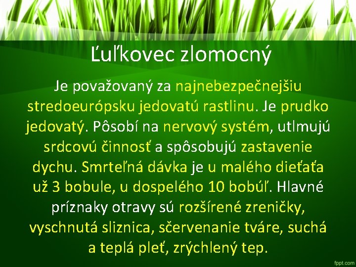 Ľuľkovec zlomocný Je považovaný za najnebezpečnejšiu stredoeurópsku jedovatú rastlinu. Je prudko jedovatý. Pôsobí na