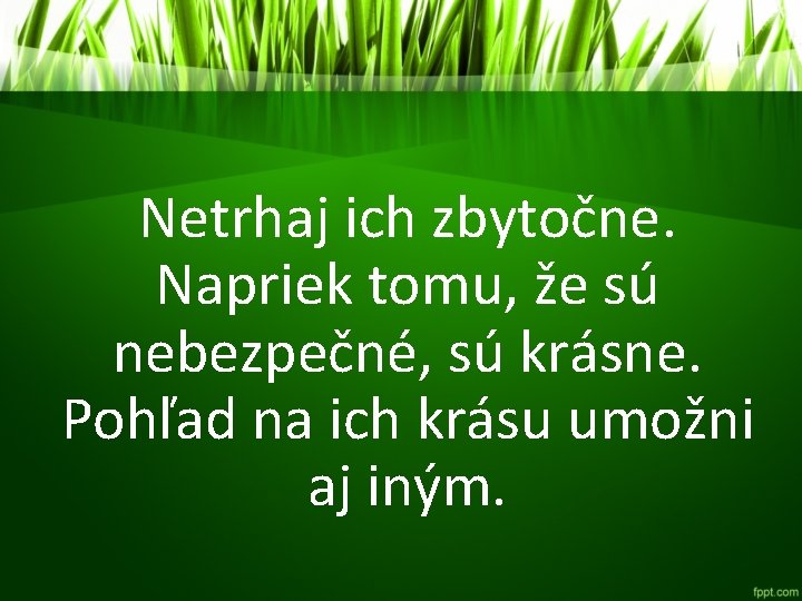 Netrhaj ich zbytočne. Napriek tomu, že sú nebezpečné, sú krásne. Pohľad na ich krásu