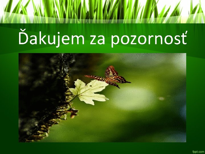 Ďakujem za pozornosť 