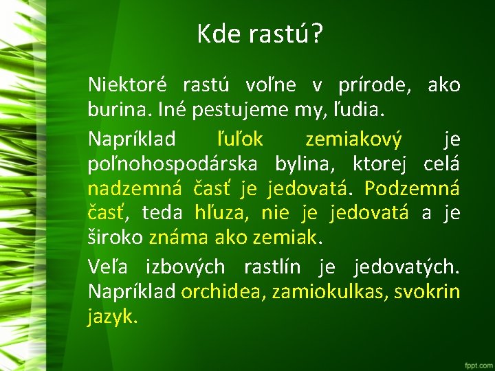 Kde rastú? Niektoré rastú voľne v prírode, ako burina. Iné pestujeme my, ľudia. Napríklad