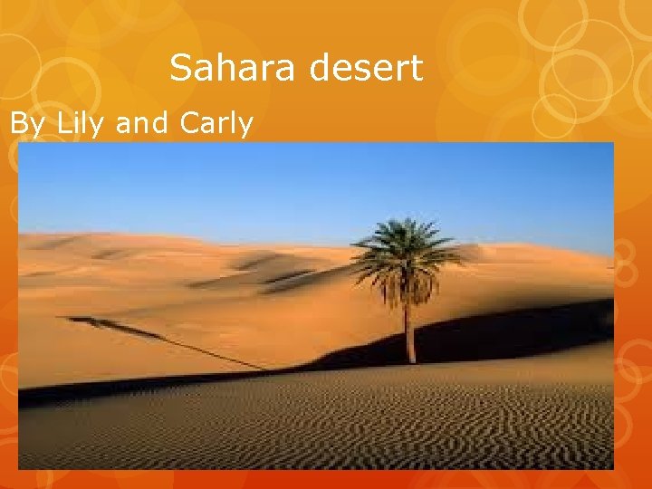 Sahara desert By Lily and Carly 