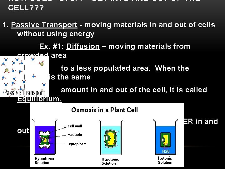 HOW DOES “STUFF” GET INTO AND OUT OF THE CELL? ? ? 1. Passive