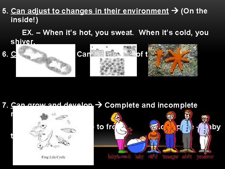 5. Can adjust to changes in their environment (On the inside!) EX. – When 5. Can adjust to changes in their environment (On the inside!) EX. – When
