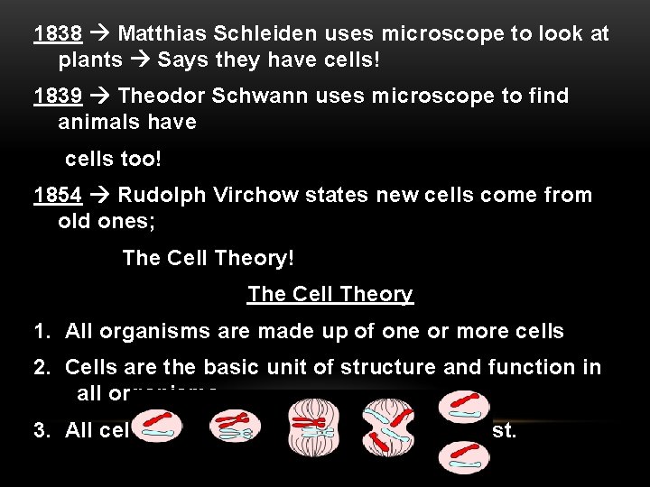 1838 Matthias Schleiden uses microscope to look at plants Says they have cells! 1839 1838 Matthias Schleiden uses microscope to look at plants Says they have cells! 1839