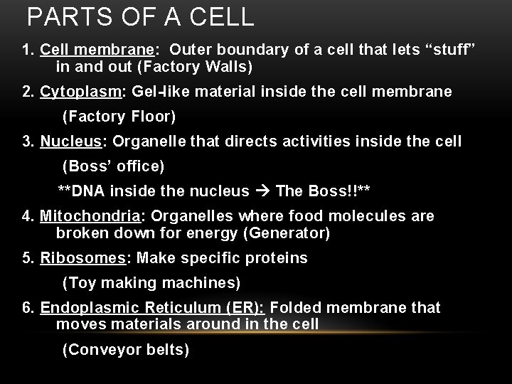 PARTS OF A CELL 1. Cell membrane: Outer boundary of a cell that lets