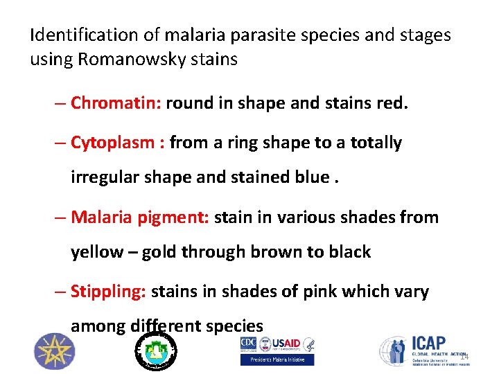 Identification of malaria parasite species and stages using Romanowsky stains – Chromatin: round in