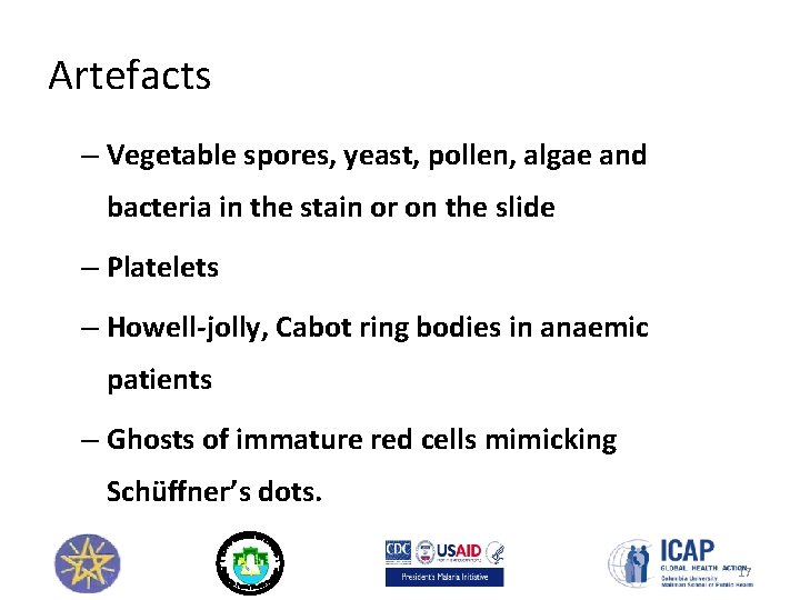 Artefacts – Vegetable spores, yeast, pollen, algae and bacteria in the stain or on