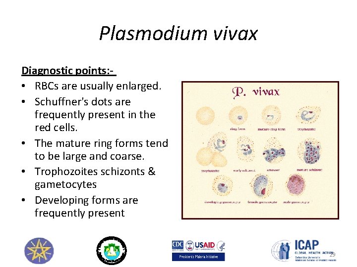 Plasmodium vivax Diagnostic points: • RBCs are usually enlarged. • Schuffner's dots are frequently