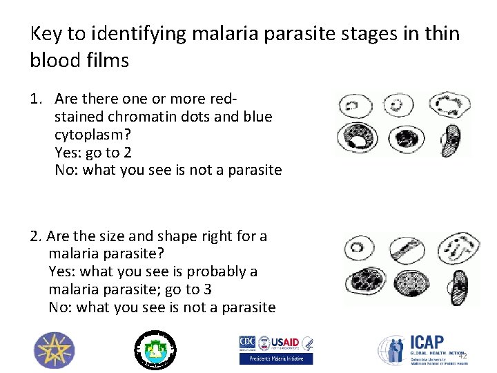 Key to identifying malaria parasite stages in thin blood films 1. Are there one