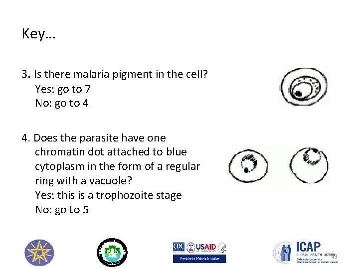 Key… 3. Is there malaria pigment in the cell? Yes: go to 7 No: