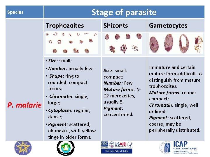 Stage of parasite Species Trophozoites P. malarie • Size: small; • Number: usually few;
