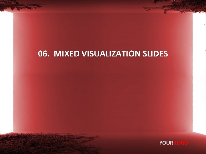 06. MIXED VISUALIZATION SLIDES YOUR LOGO 