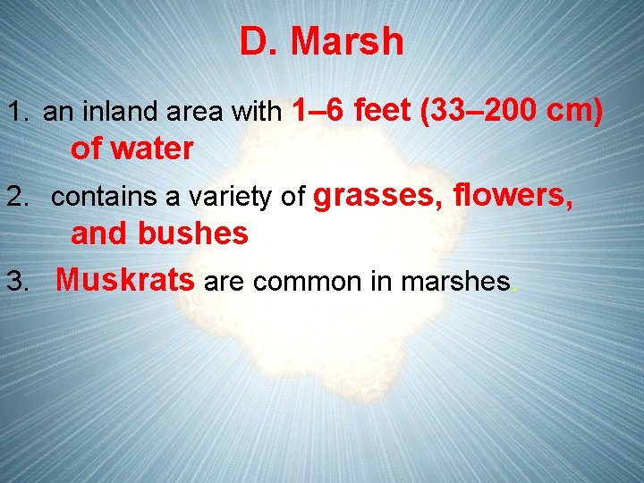 D. Marsh 1. an inland area with 1– 6 feet (33– 200 cm) of