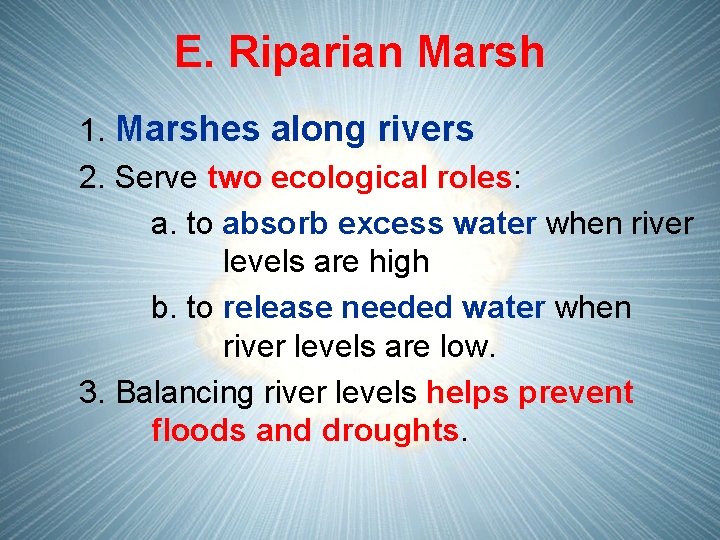 E. Riparian Marsh 1. Marshes along rivers 2. Serve two ecological roles: a. to